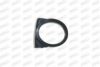 PRASCO BM0191242 Frame, fog light